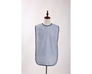 خصوصی ضروریات ببس